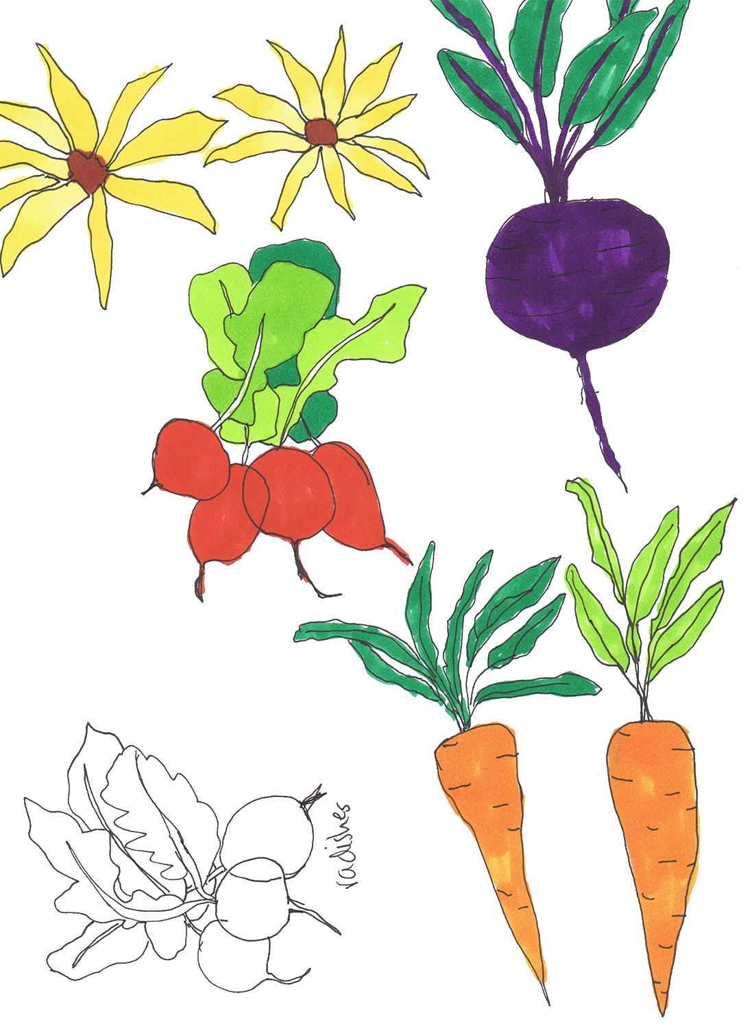 Как рисовать детям овощи - 95 фото